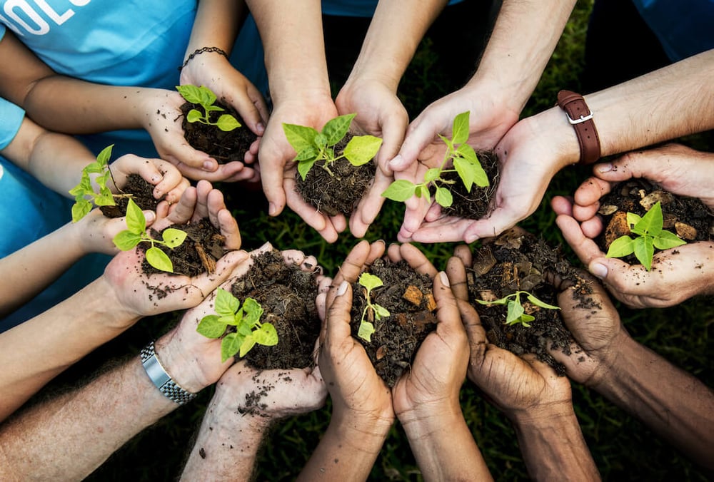 shutterstock_604290230 (1)